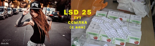 первитин Горнозаводск