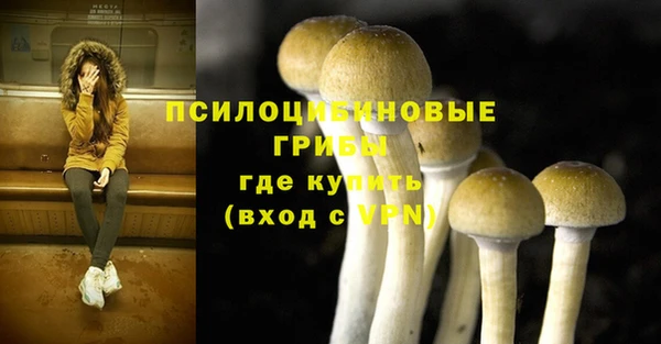 МДПВ Вязьма