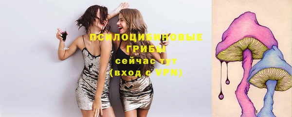 дмт Горняк