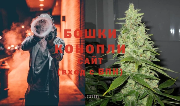 дмт Горняк